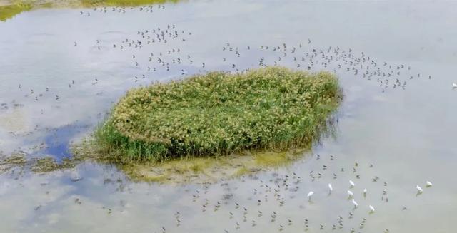 免费！玩转运城冬日绝美风光！