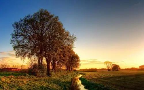 中年两性关系惊现“神秘信号”，你捕捉到了吗？