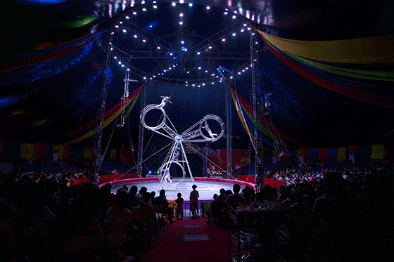 好客山东好品山东｜临沂遛娃去哪儿？初冬攻略收藏就出发～