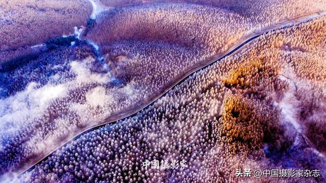 林树国｜塞罕坝林海之歌