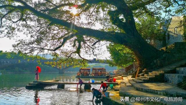 一个被严重低估的宝藏地！卸载48小时城市内卷，到鹿寨中渡加载山水与人间烟火