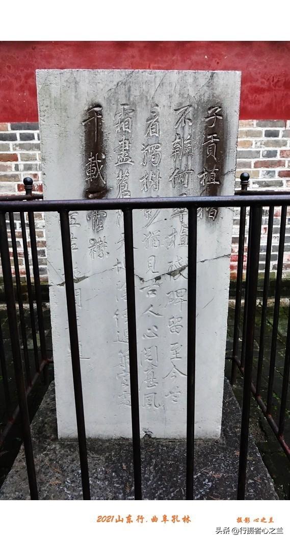 山东行游影记（228）—曲阜孔林（四）