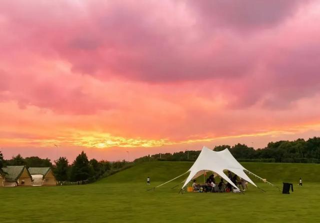 沪上这9条秋游线路，带你走进申城最美的秋景~