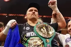 职业拳击级别是否太多了！如果改成只有6个级别，大家觉得怎么样图片