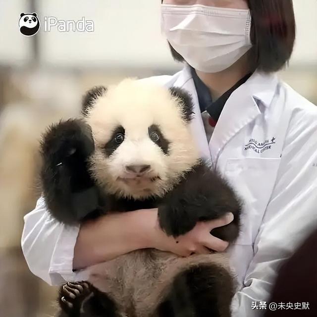 没有回旋余地，中国下令直接收回，17万日本人泪奔，高市闯祸了！