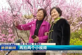 沁源县 春沐小城：赏桃花 放风筝 不负好春光图片