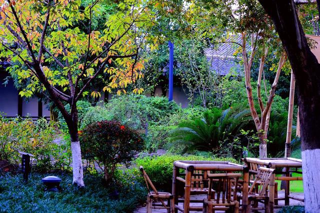 大公图书馆丨秋日里的诗意庭园