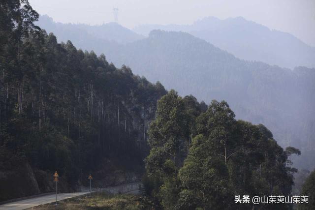 2023年春重庆探亲游（上篇）