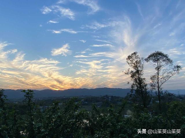 2023年春重庆探亲游（上篇）