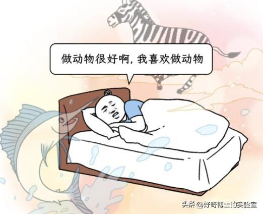 从一星级、二星级，到五星级、七星级酒店，究竟有啥区别？