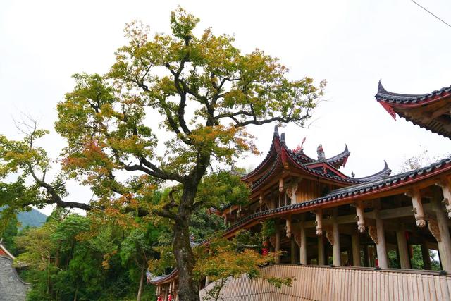 盘点我去过浙江泰顺的五个绝美地，比国外还美，知道的游客却很少