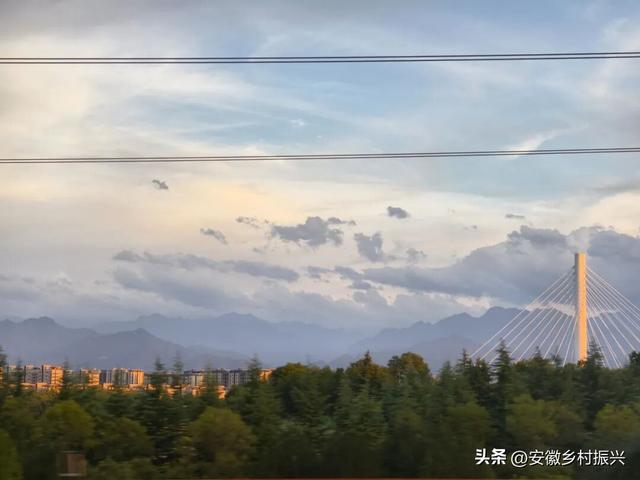 8月，「渴望自由，像治不好的病」