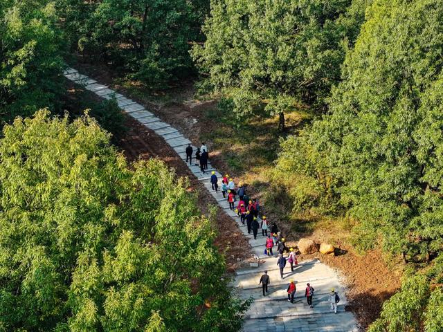 明光徒步新选择！