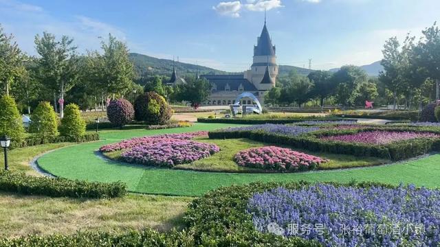 室外免费啦！烟台避暑家庭游圣地——张裕柳林河谷景区焕新升级