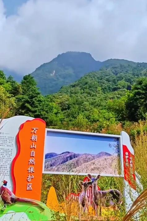 宜昌兴山县一日游十大必去旅游景点