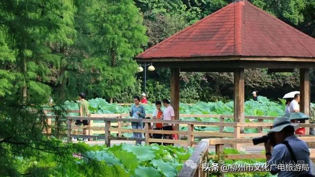 别等空调房！雀儿山公园已备好天然“冷气”~