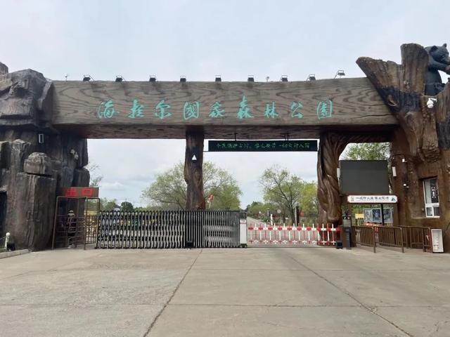 夏日海拉尔漫游指南：从草原到古城 解锁北疆清凉秘境