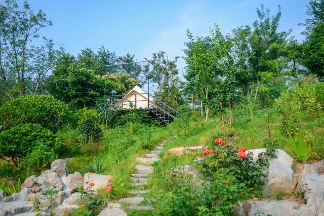 拒绝人山人海！济南这条「星空野奢」线路，才是假期该有的样子