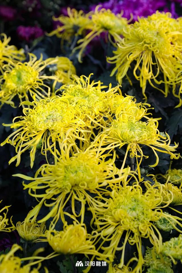 22万人已打卡，还剩2天！