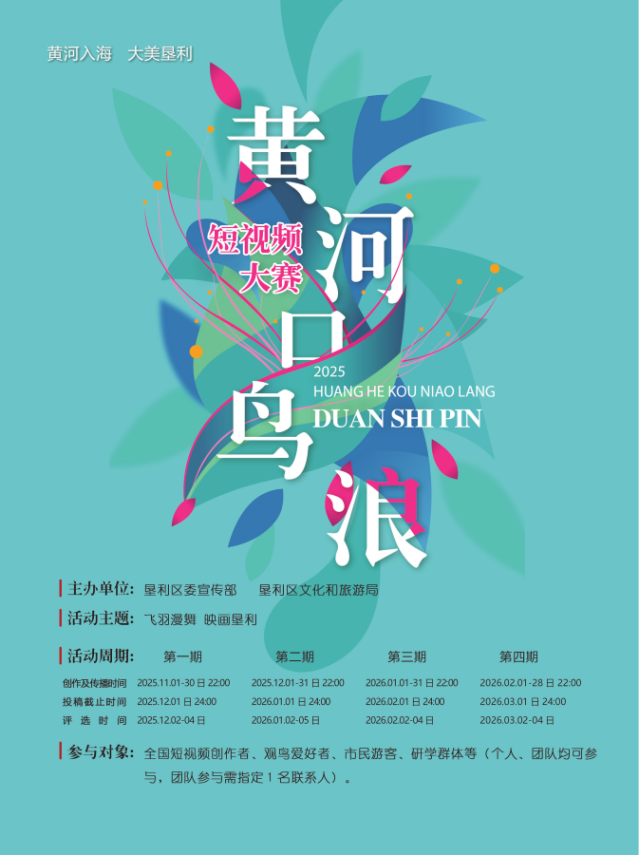 黄河入海 大美垦利 | 东营垦利观鸟贴心攻略