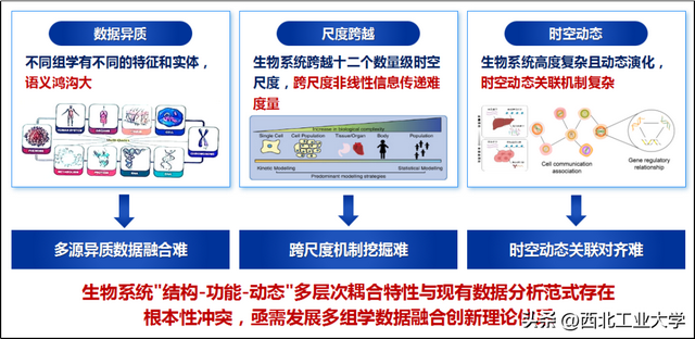 一等奖15项！陕西省科技奖揭晓！西工大再突破！