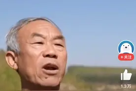 卖土毁田！大爷：爹娘跟不了一辈子土地是祖祖辈辈的！现在全毁了图片