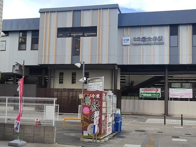 因为鹿，我爱上了奈良
