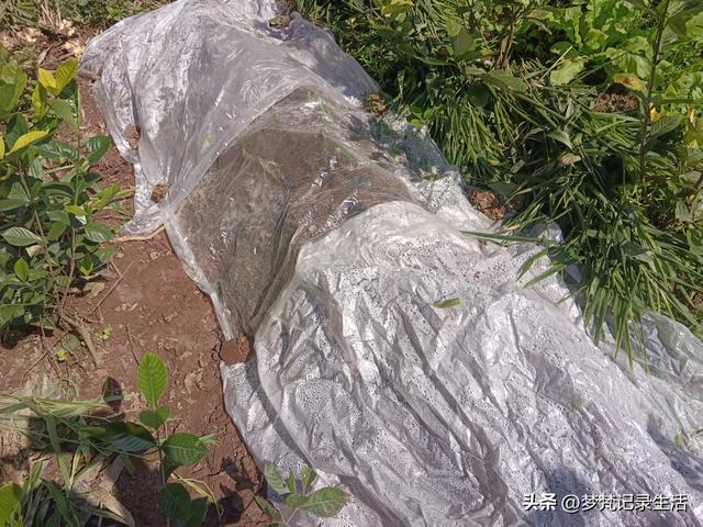 我妈安排的事是我支持的我就会满心欢喜地去做，不支持的就很反感