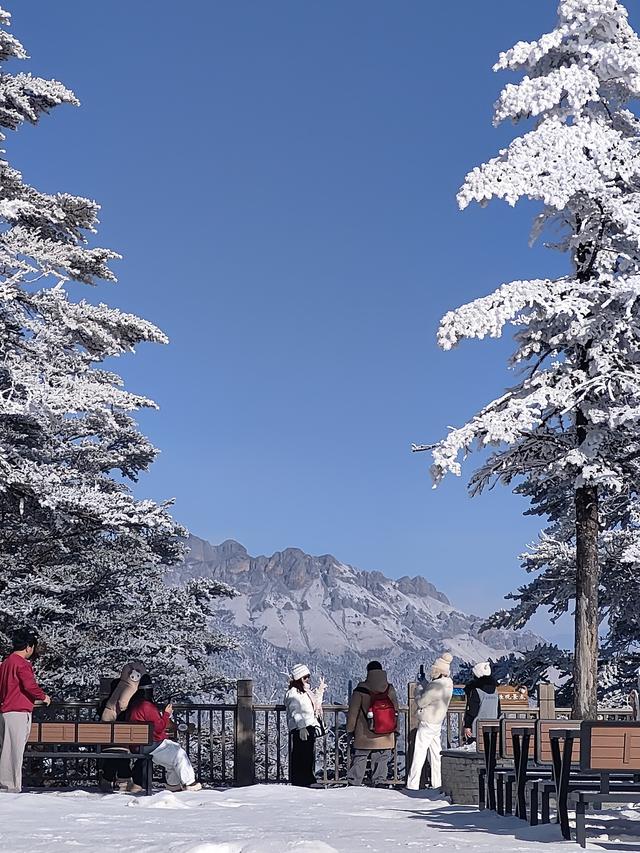 成都的初雪已上线！快来赴一场冬日浪漫之约