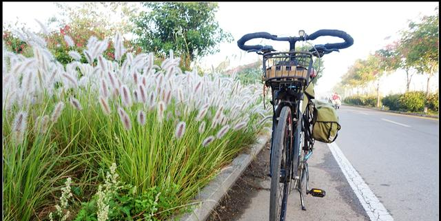 一个人骑车的早晨，才是成年人最顶级的放松方式，比躺平爽10倍！