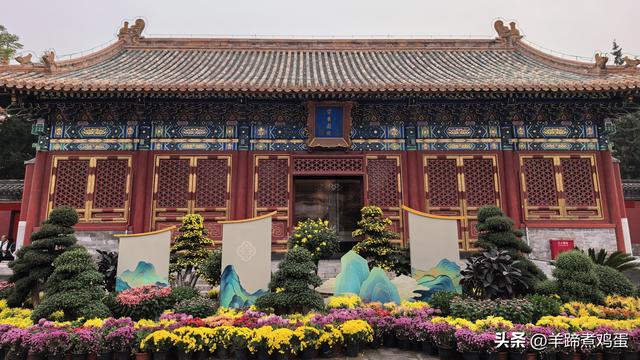 秋风独宠一园菊，晚来香艳出樊篱——北京北海公园2025年菊花展