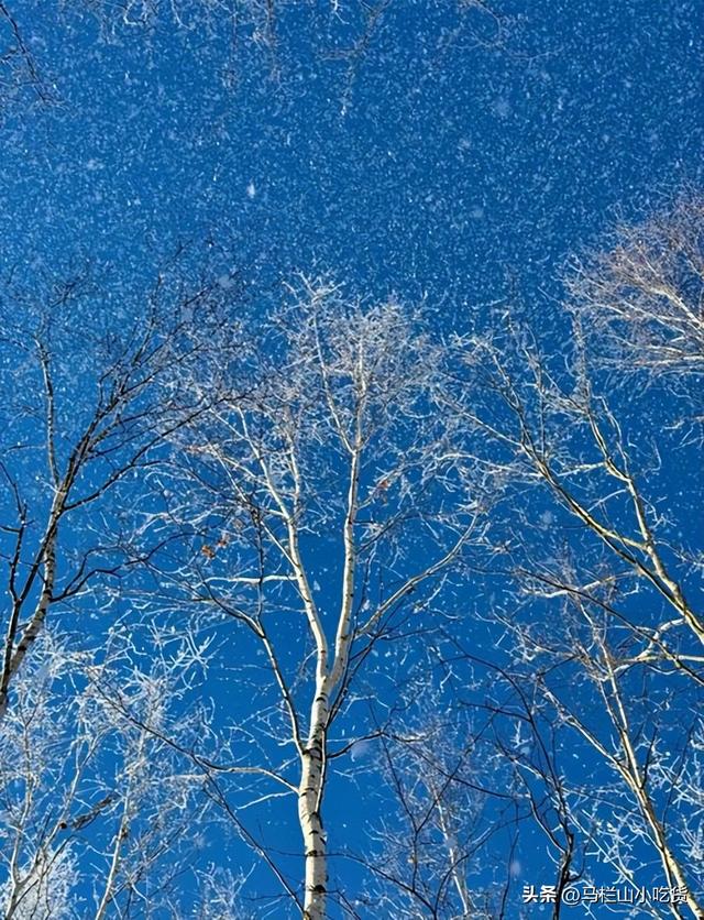 中国北极漠河冬季攻略｜追极光攻略！