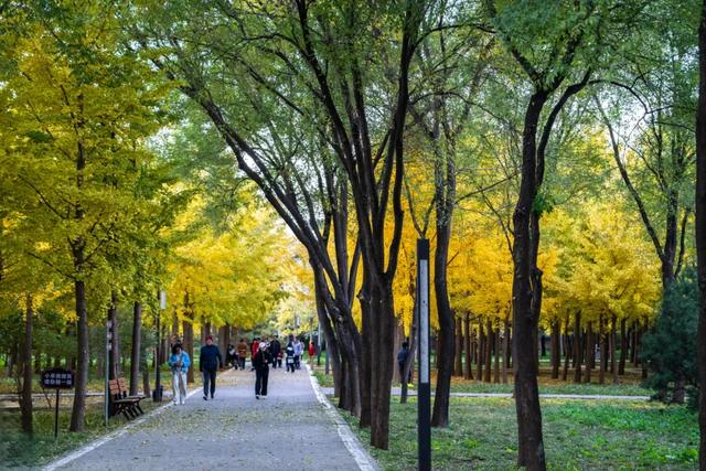 收藏一个秋天，石景山绝美秋色大公开