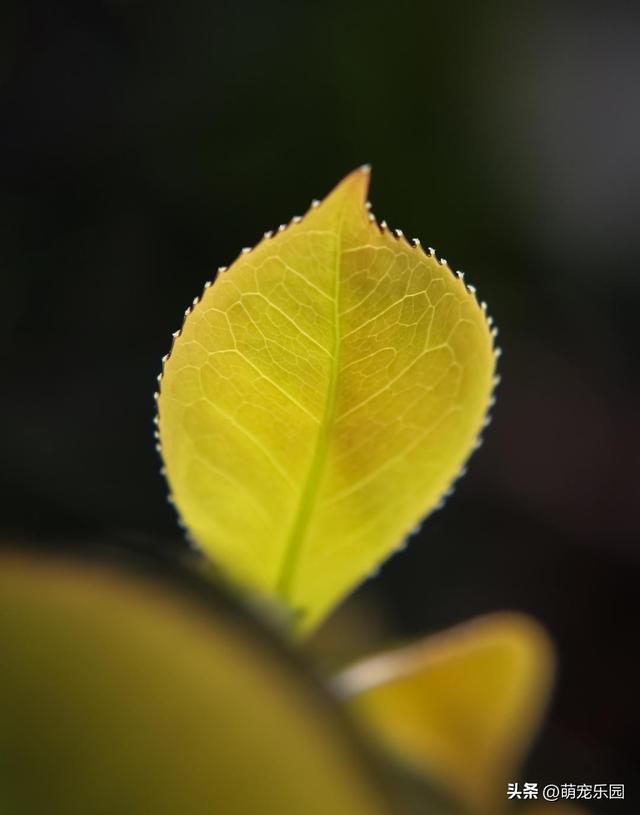 摄影追求清爽感，高手走减法路线，果断舍弃刺眼元素