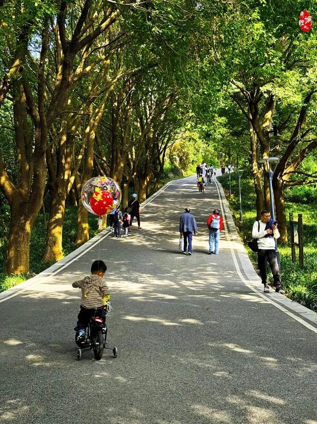 从1公里到33公里,苏州15座山全强度登山攻略!