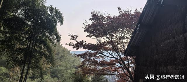 真是醉了，徒步奉化东西岙徐凫岩看悬崖飞瀑堵人竟然堵到怀疑人生