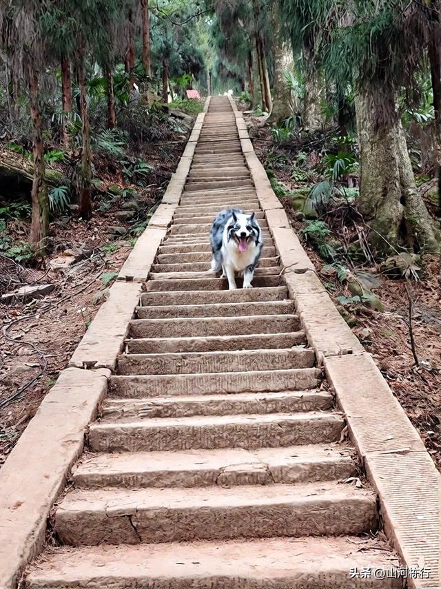 徒步都江堰上元古道｜12公里千阶登顶，一场与自己的硬核对话