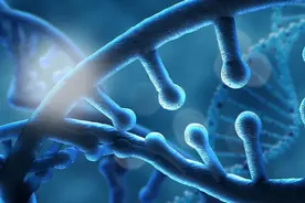 生物基因突变的后果，有利有弊？图片