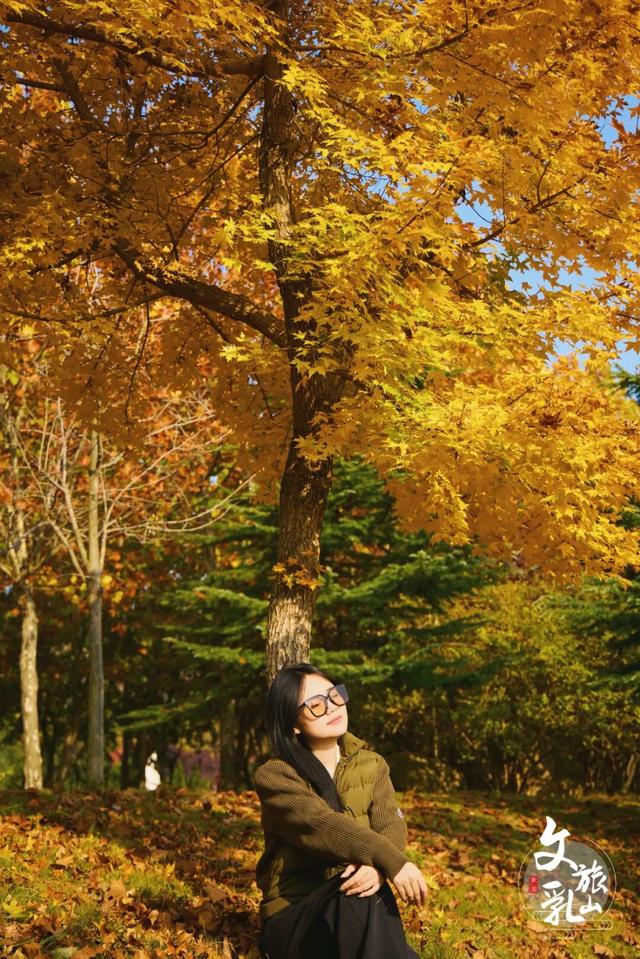 当秋风吻过乳山：一场关于色彩与治愈的漫步指南