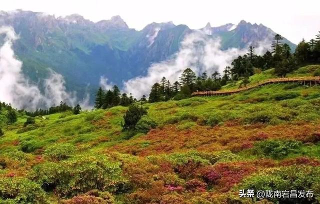 “双节”出游正当时！宕昌美景已 “妆” 好，只待你的脚步