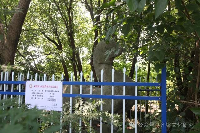 丹阳齐梁石刻实地踏勘纪实·丹北镇篇·金王陈南齐失名陵石刻