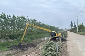 北景港镇：沟渠清淤除草 环境焕然一新图片