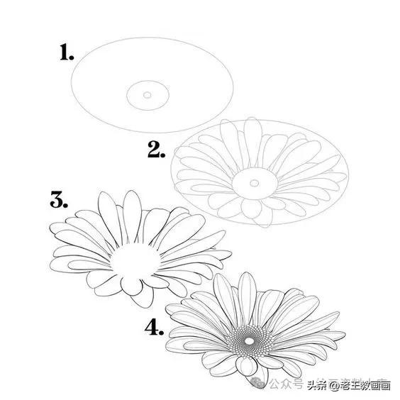 有手就能画！花卉简笔画教程