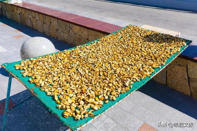 等一个晴天！枸杞岛温暖冬日的惊喜太多啦！