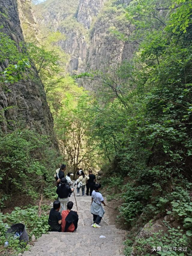 无为在歧路，武安涉县平顺临清（9）