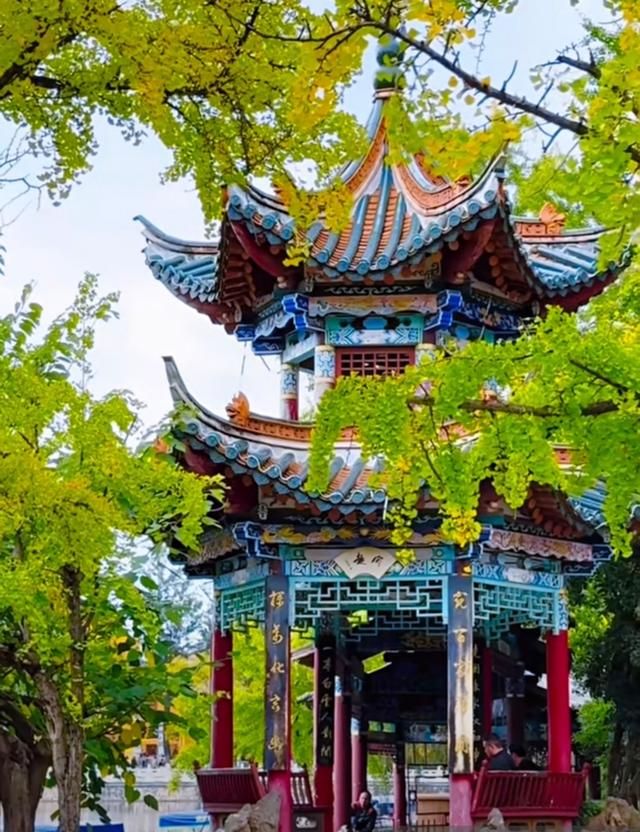 11月第一个周末，雨中翠湖公园