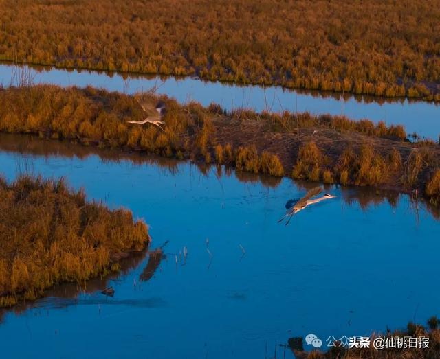 @仙桃人，这回大家真的要关注呀！
