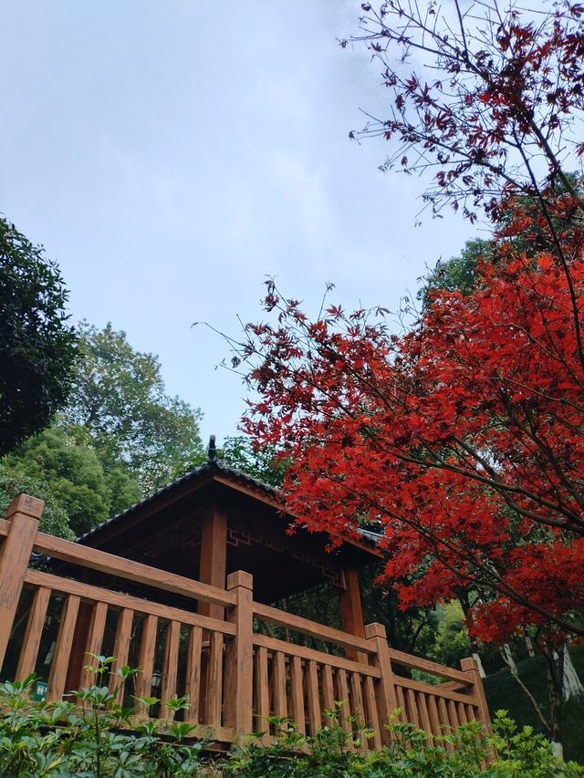 盘溪河的冬，藏着山城最温柔的秋意