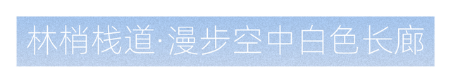 光明这个公园，原来这么好逛！