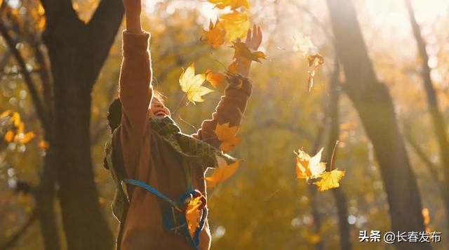 秋韵浸水园 微光与落叶的密语